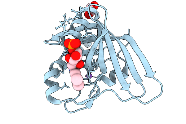9NK4 image