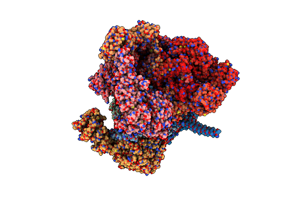 9NKF image