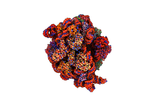 9NKL image