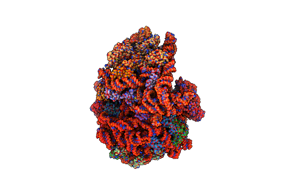 9NLE image