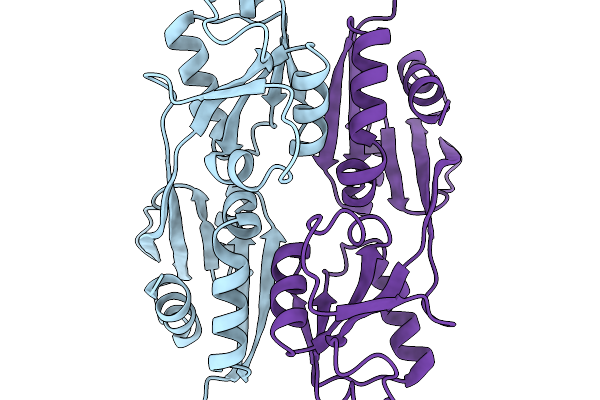 9NLI image