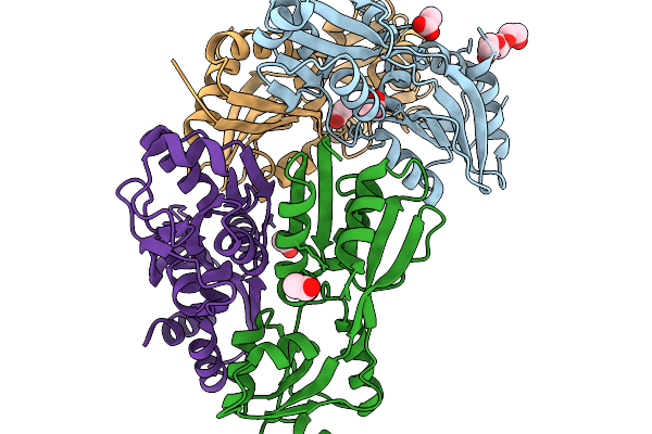 9NLM image