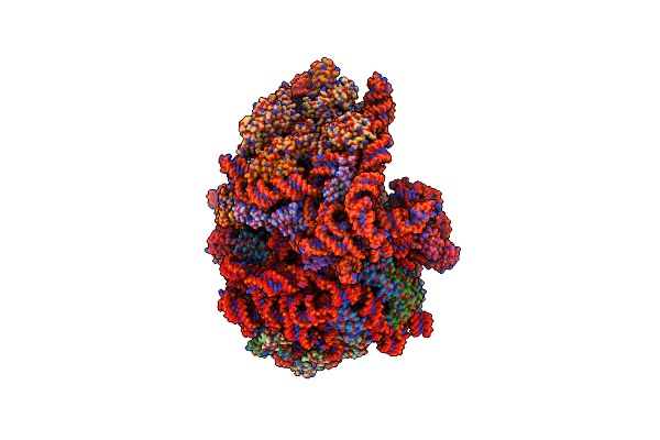 9NLQ image