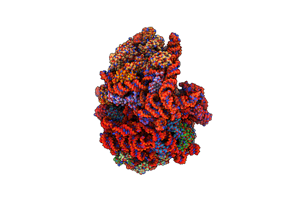 9NLS image