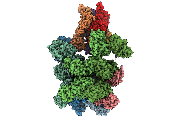 9NLU image