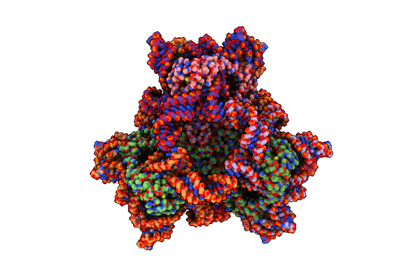 9NLV image