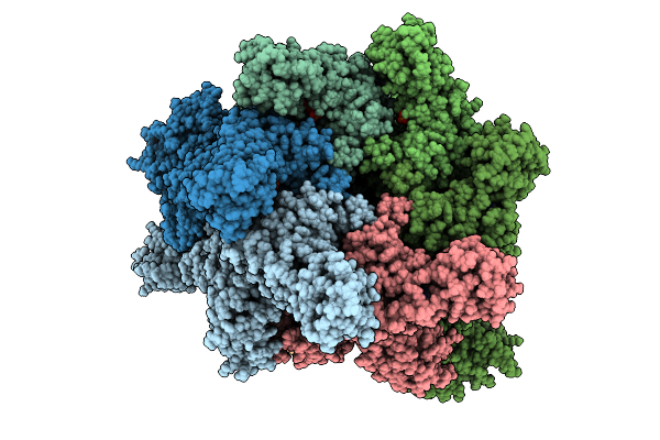 9NLZ image