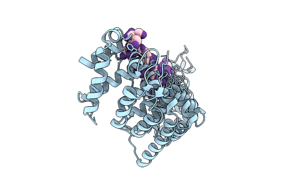 9NM3 image