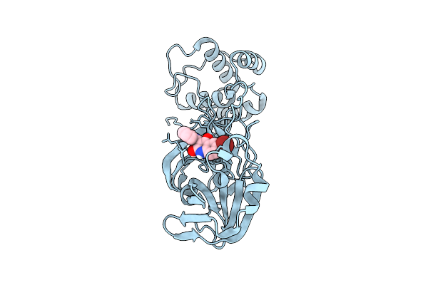 9NMC image
