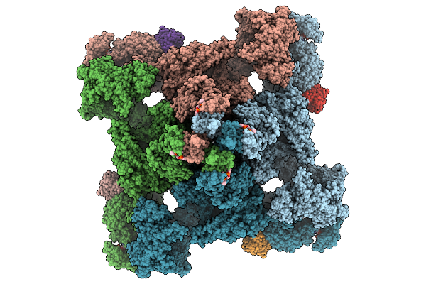 9NMO image
