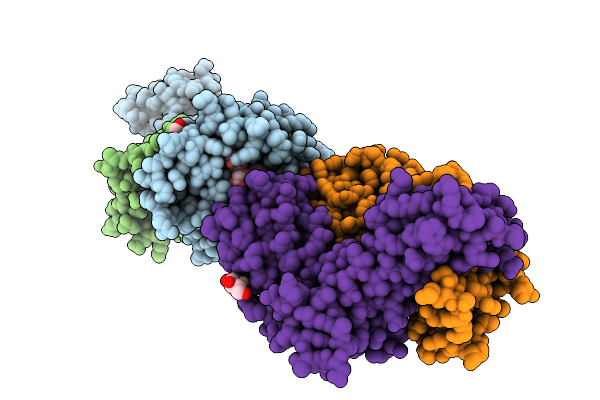 9NMV image