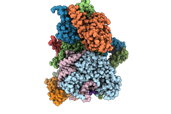 9NNB image