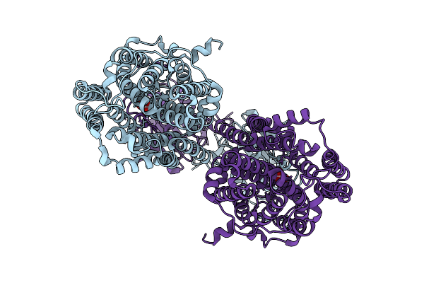 9NNC image
