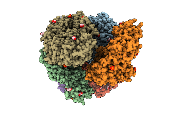 9NPE image