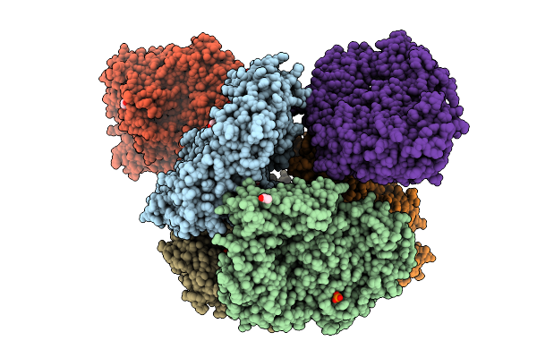 9NPF image