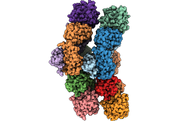 9NPG image