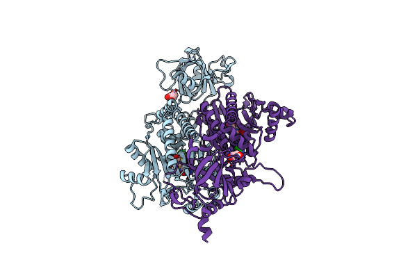 9NPJ image