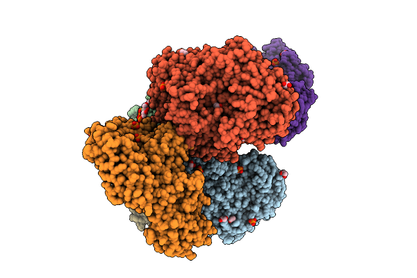 9NPL image