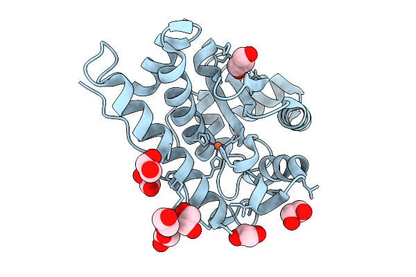 9NPP image
