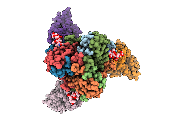 9NPR image