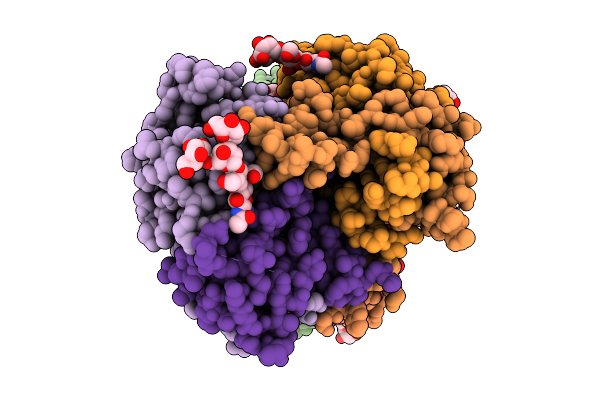9NPS image