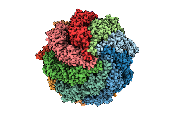 9NPW image