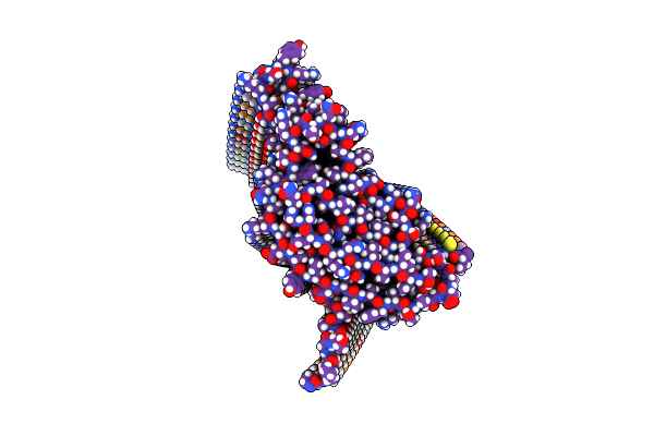 9NQD image