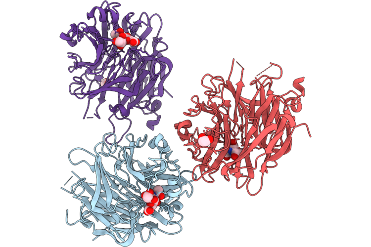 9NQX image