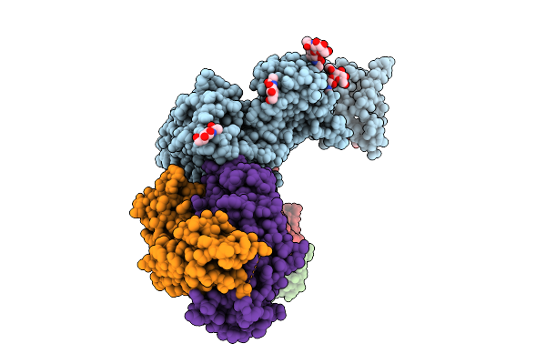 9NRC image