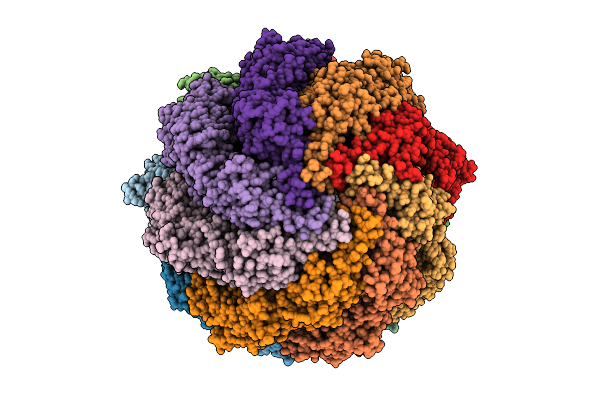 9NRG image