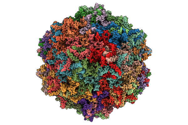 9NRP image