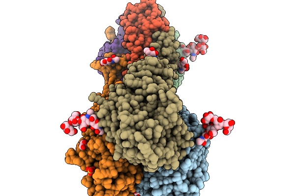 9NRV image