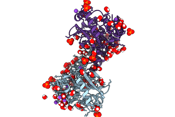 9NSJ image