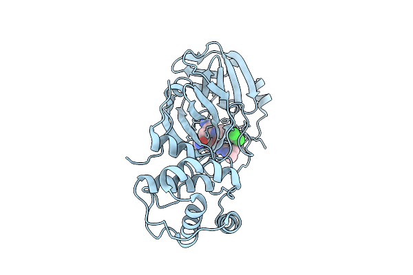 9NSK image