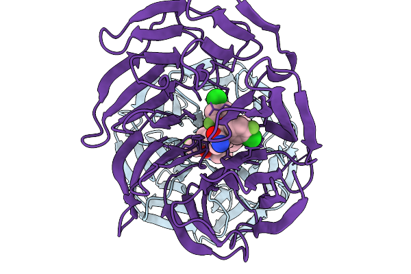 9NSO image