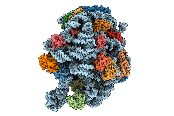 9NTA image