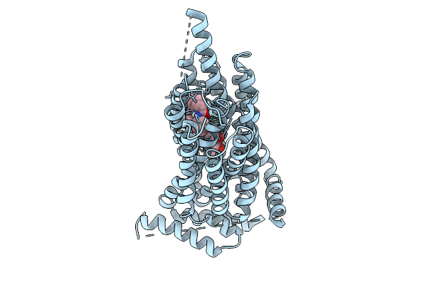 9NTC image