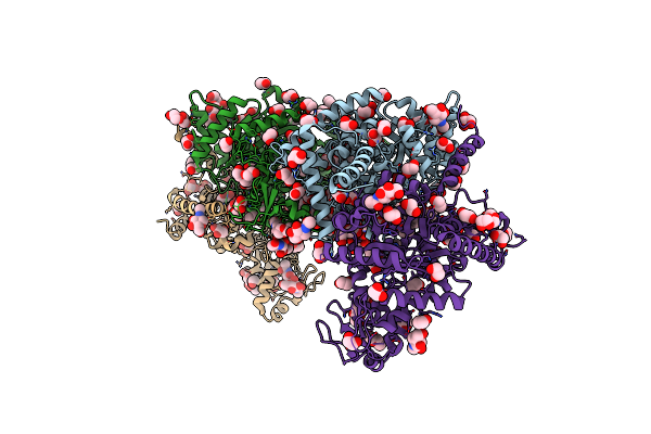 9NTE image