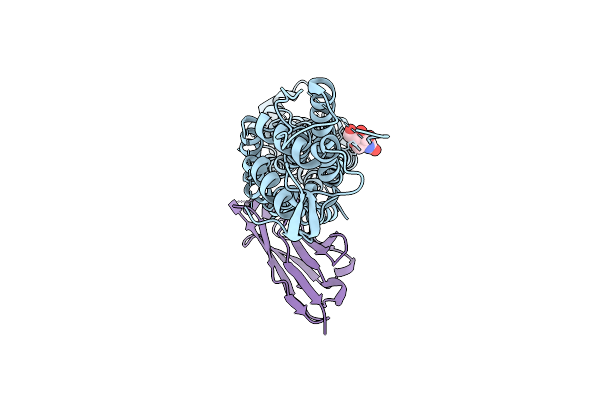 9NTQ image