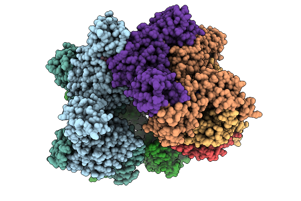 9NUE image