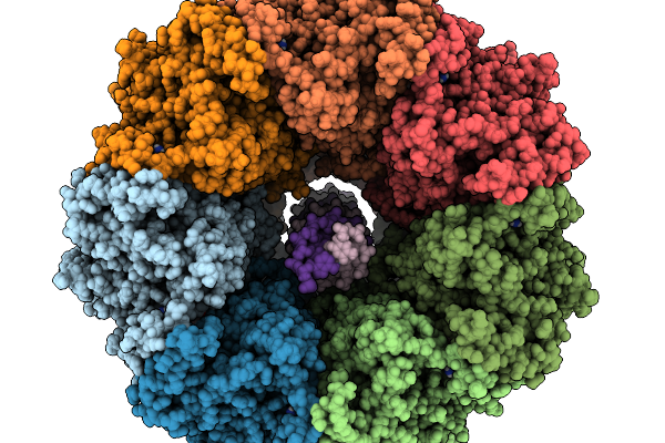 9NUS image
