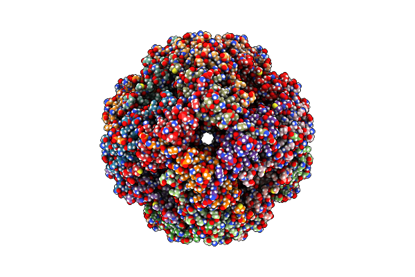 9NV4 image