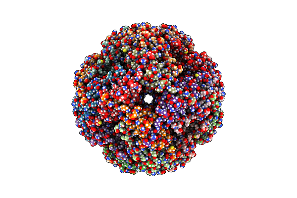 9NV7 image