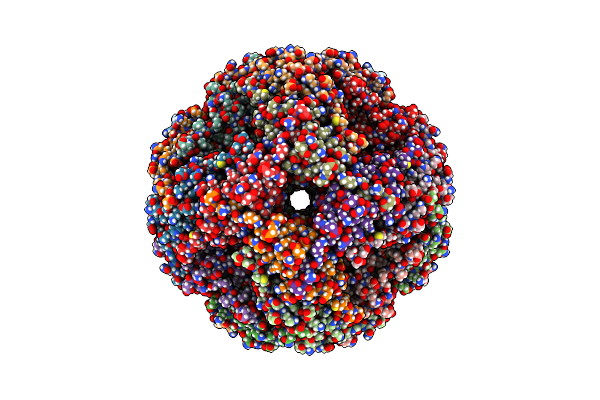 9NV8 image