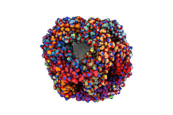 9NVC image