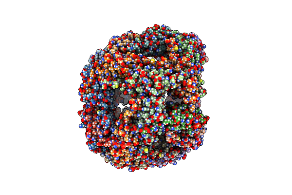 9NVF image