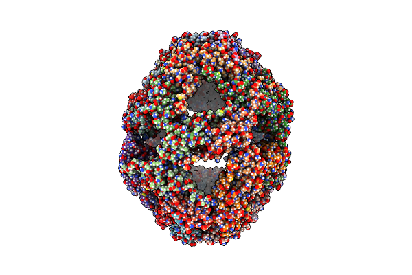 9NVJ image