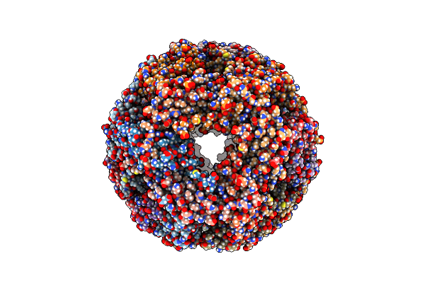 9NVK image