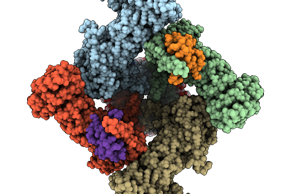9NVN image