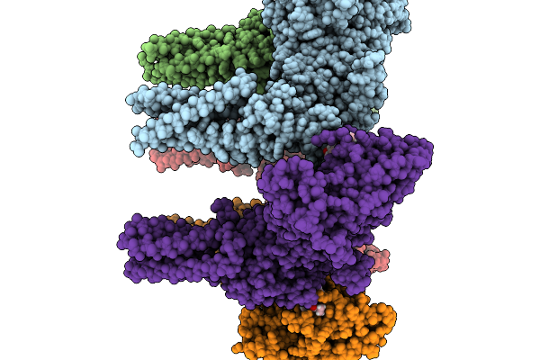9NVS image